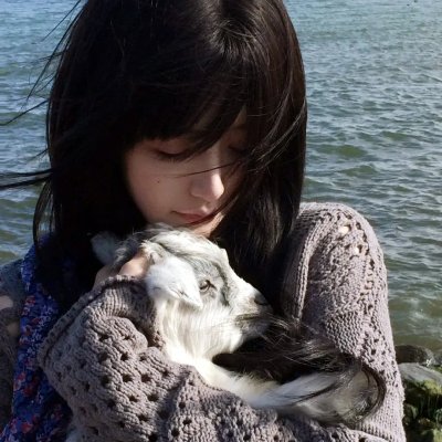 教室里的一头牦牛